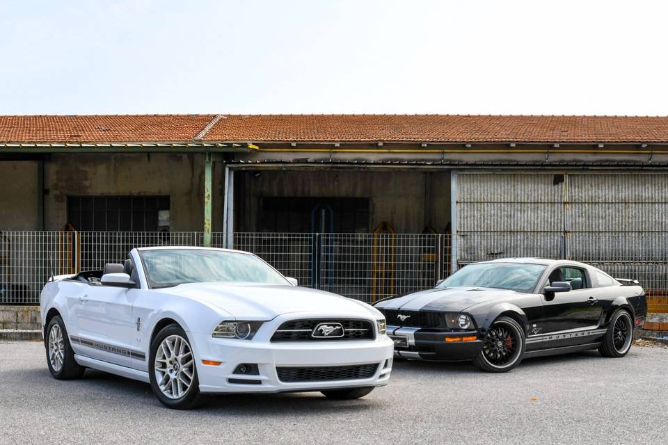 Mustang V6 & V8