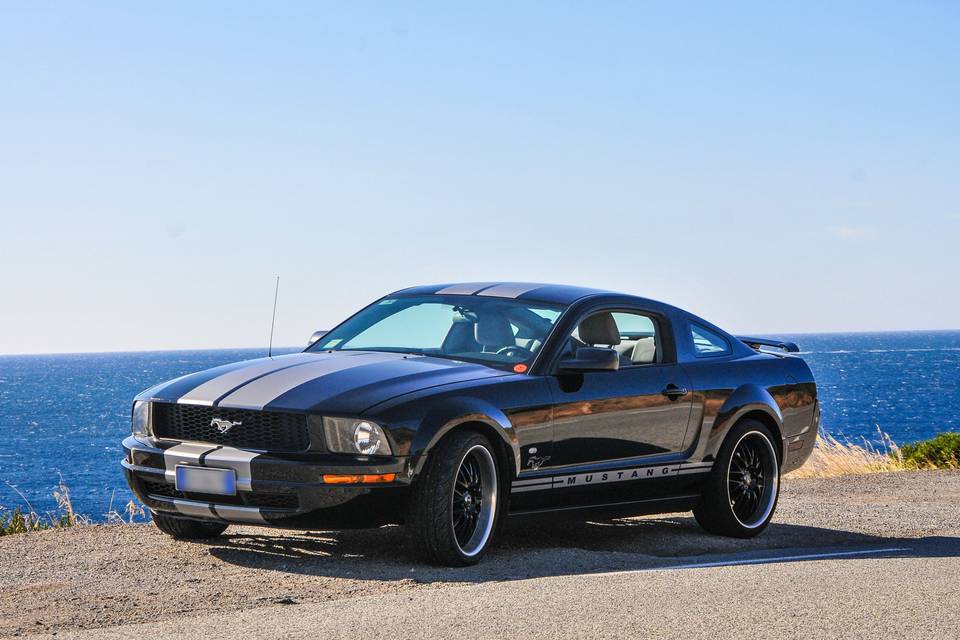 Mustang Noleggio