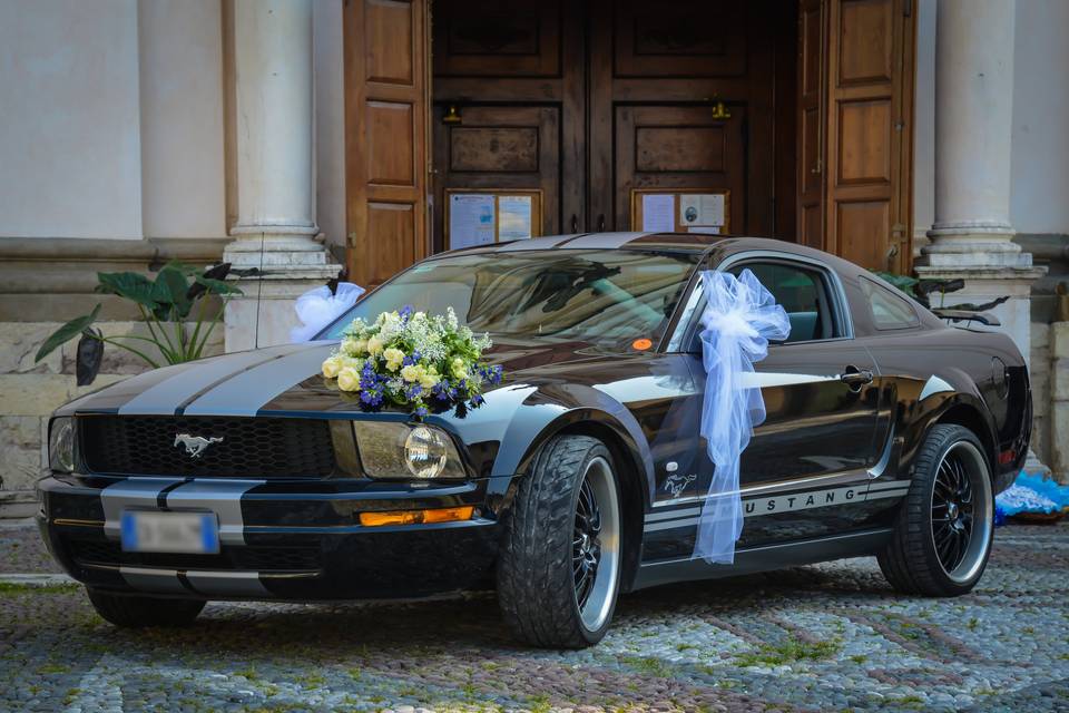 Noleggio mustang matrimonio