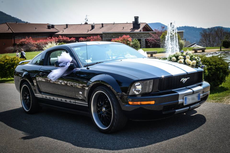 Noleggio mustang matrimonio