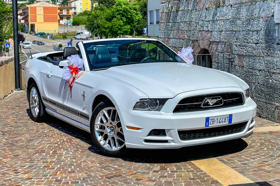 Mustang Noleggio