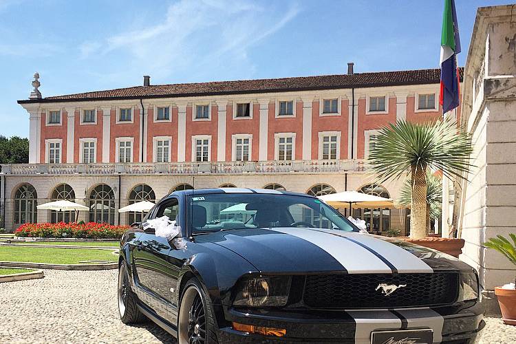 Mustang in villa