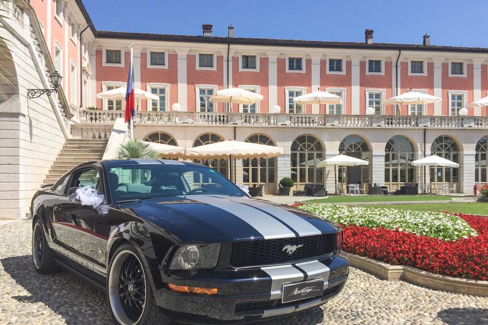 Mustang in villa