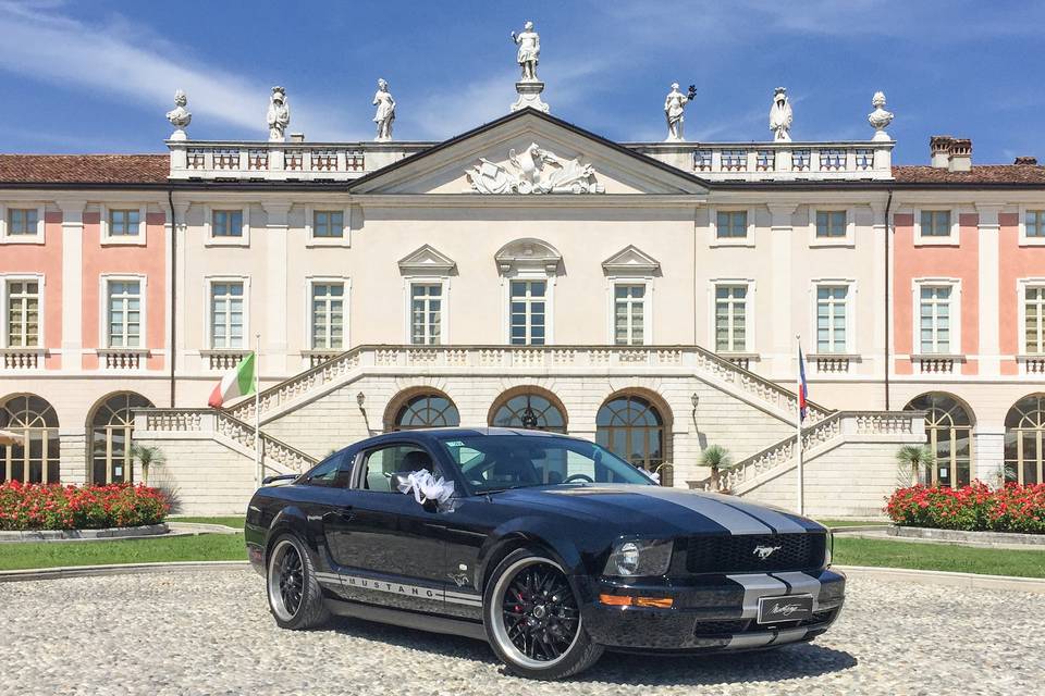 Mustang in villa fenaroli