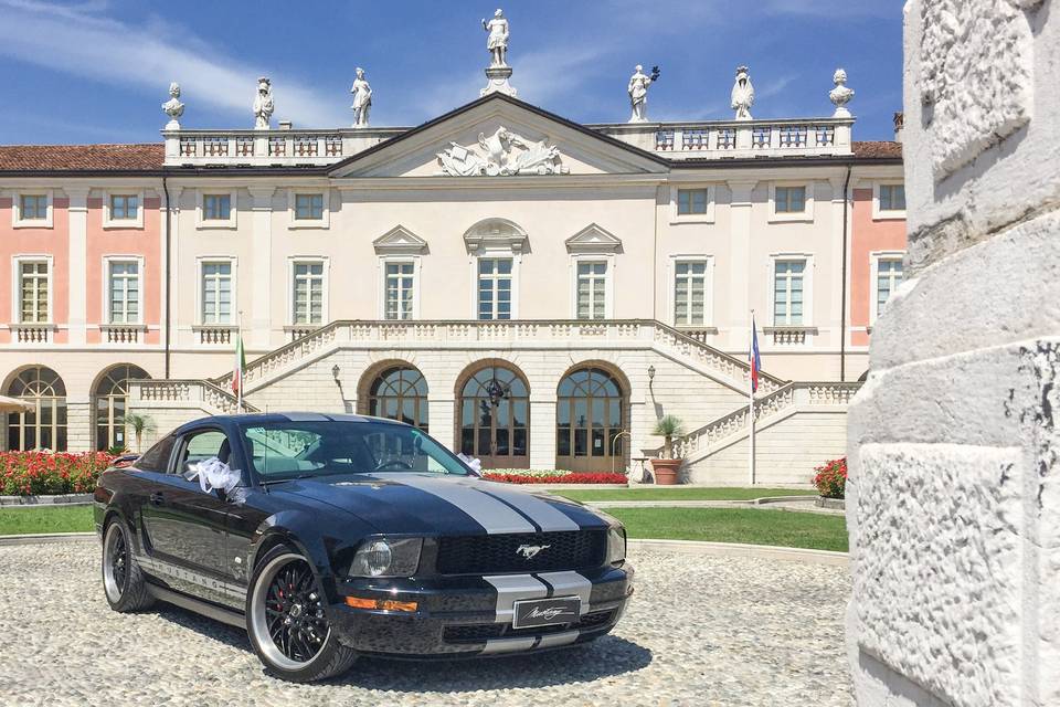 Mustang Nera