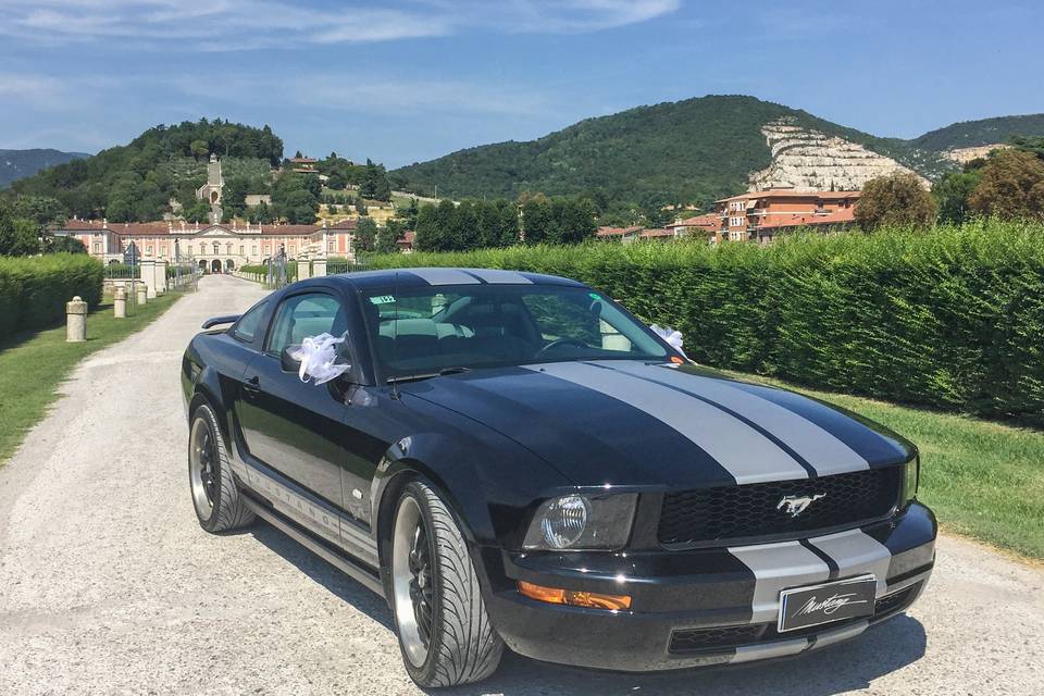 Mustang in villa