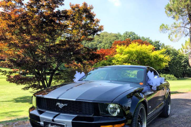 Mustang parco sigurtà