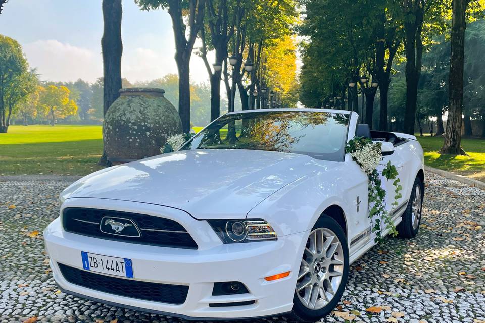 Mustang Noleggio