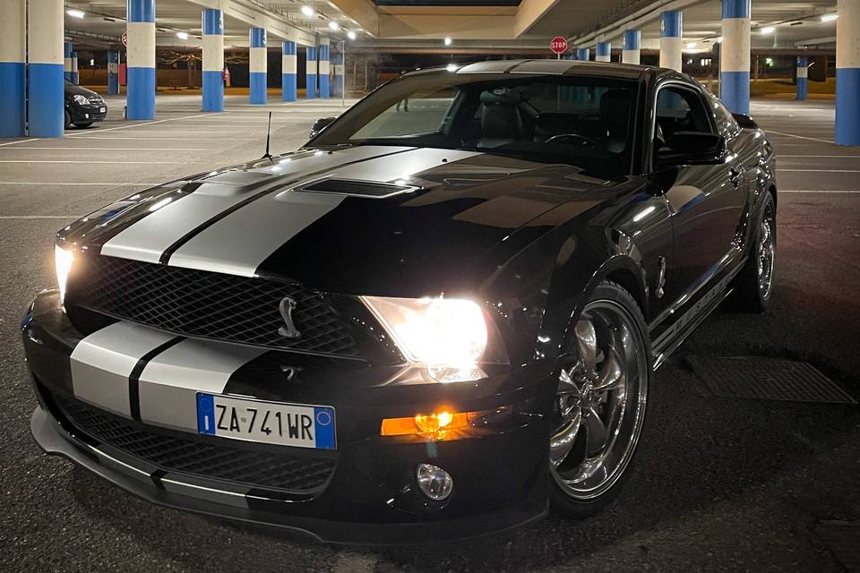 Mustang Noleggio