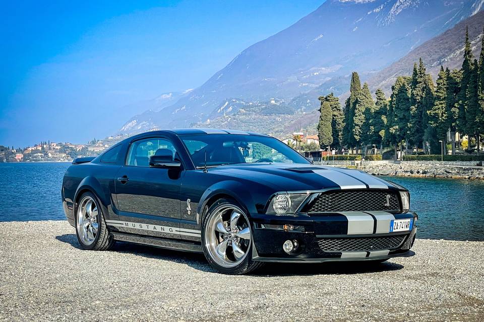 Mustang Shelby