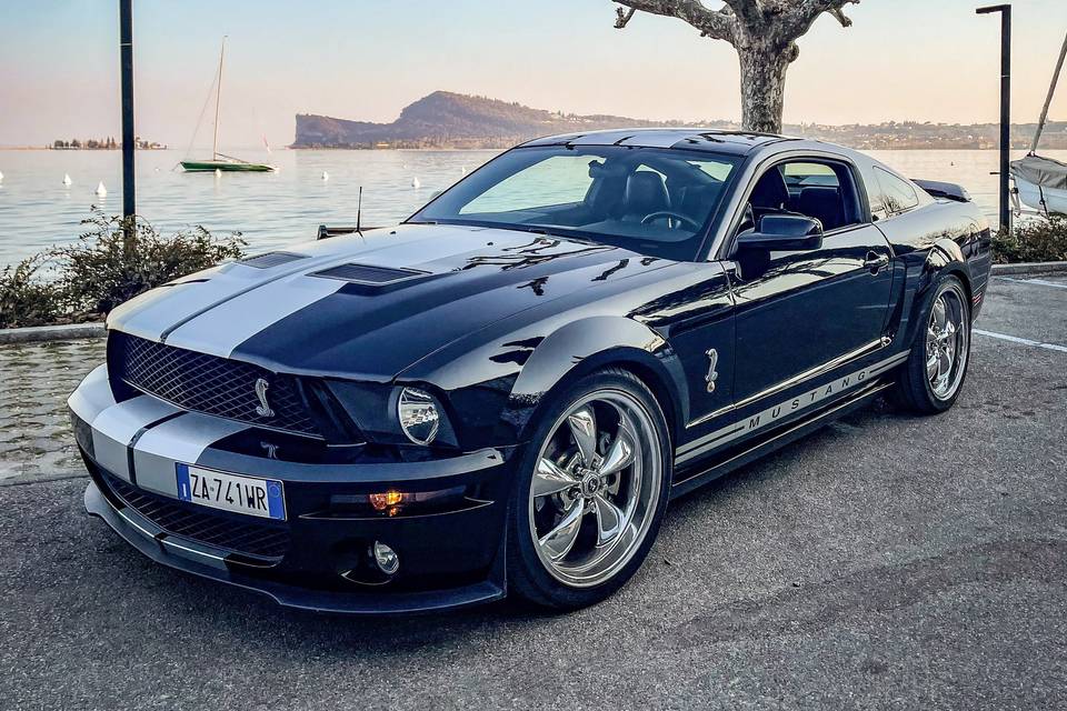 Mustang Noleggio