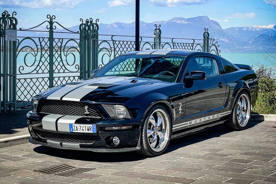 Mustang Noleggio