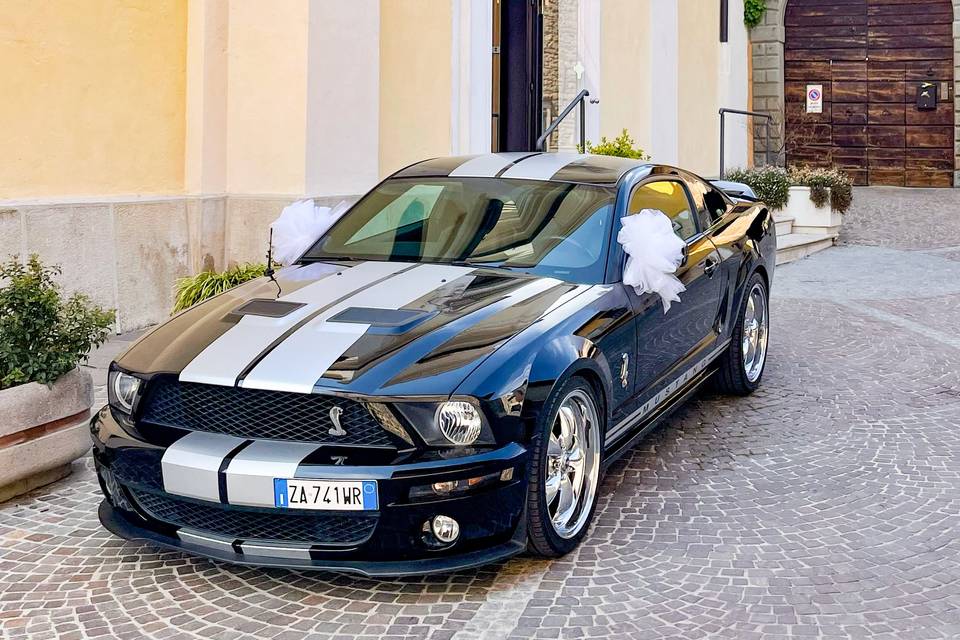 Mustang Noleggio