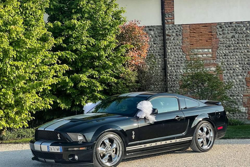 Mustang Noleggio