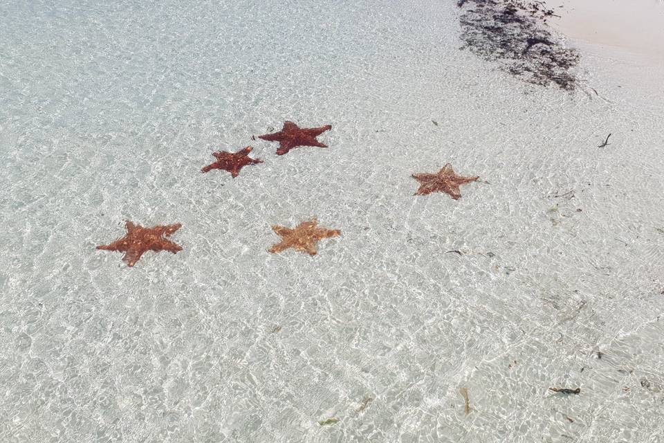 Cayo Largo Cuba