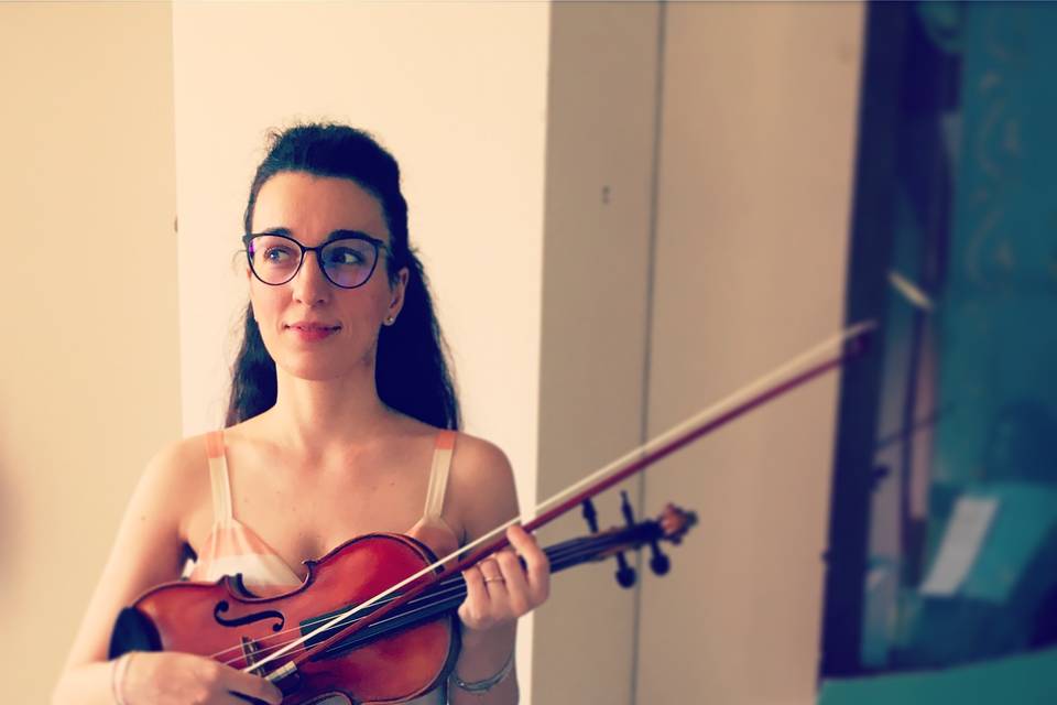 Violino