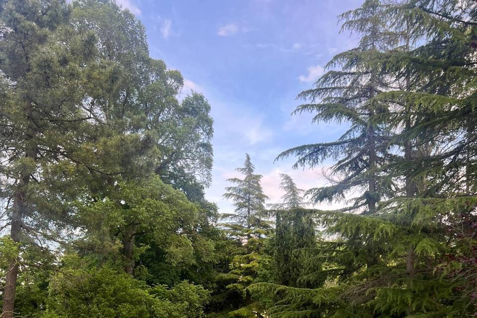Giardino esterno