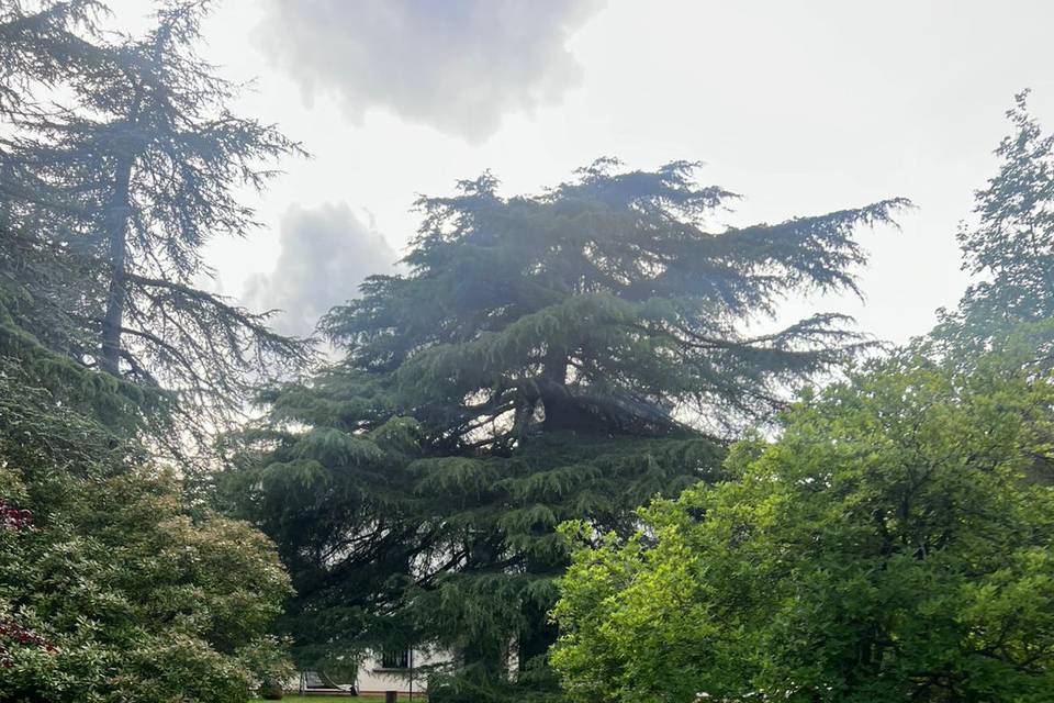 Giardino esterno