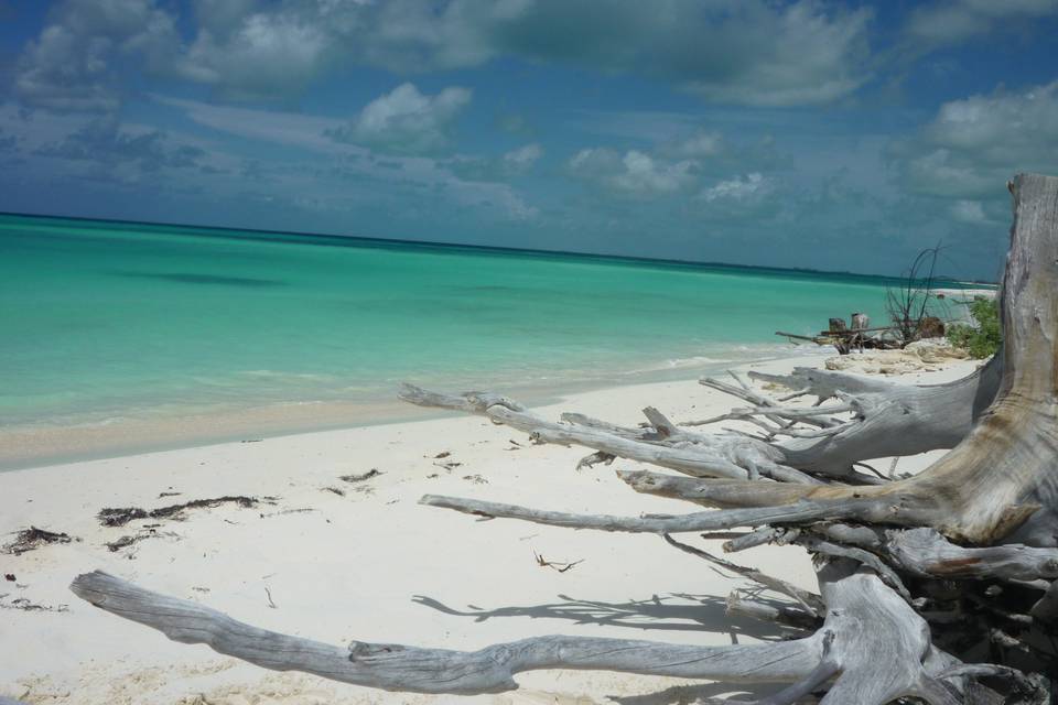 Cayo largo