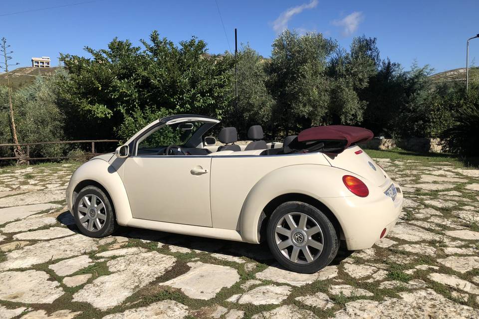 New Beetle