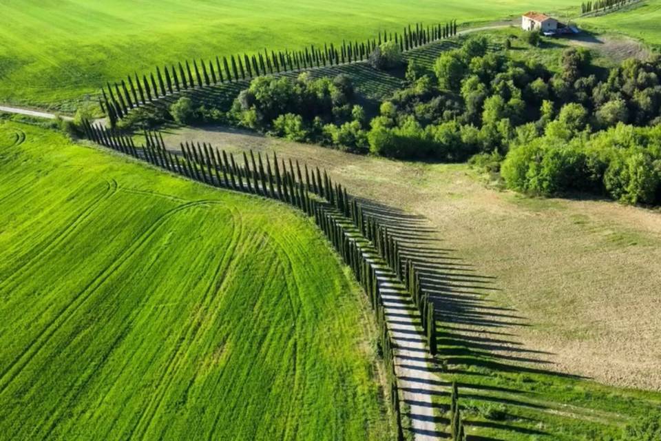 Giardino