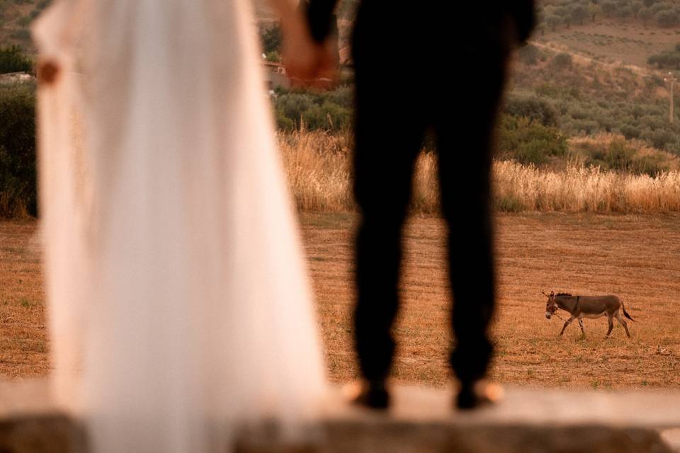 Mauro Silvestre Fotografo