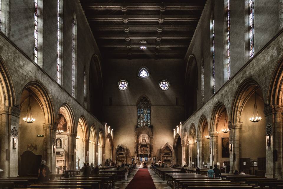 Mauro Silvestre Fotografo