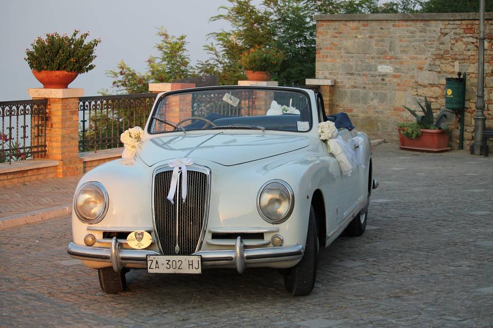 Aurelia cabrio b50