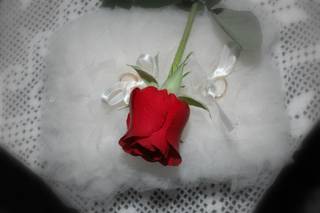 Jacuphoto