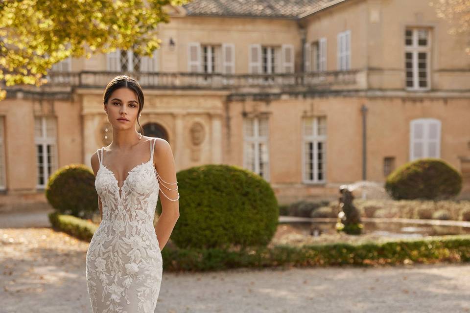 Rosa Clarà 2026