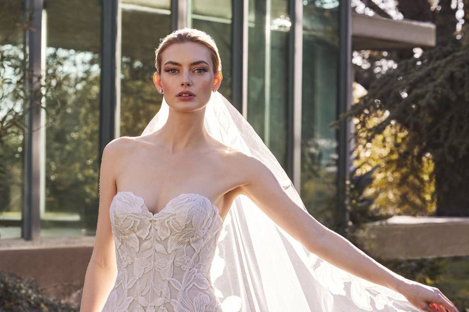 Pronovias 2026