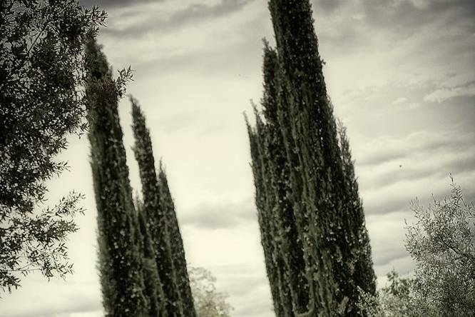 Wedding in toscana