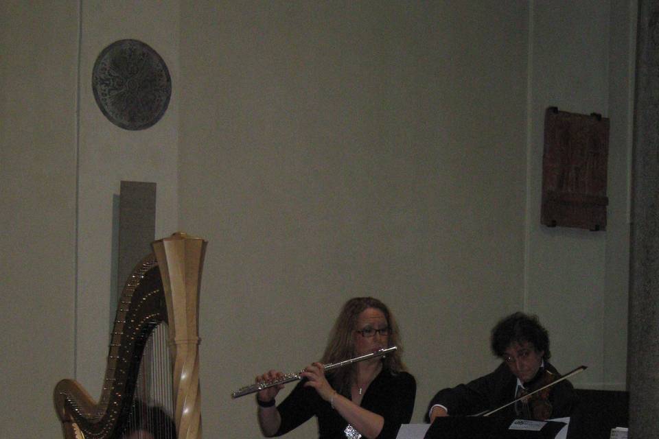 Trio Flauto Violino Arpa cerimonia