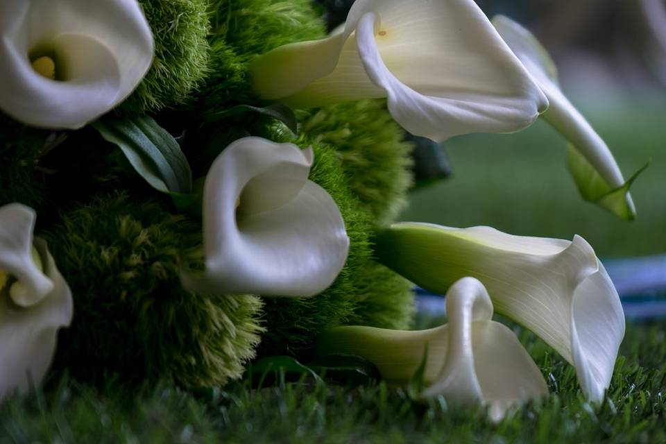 Bouquet Damigella