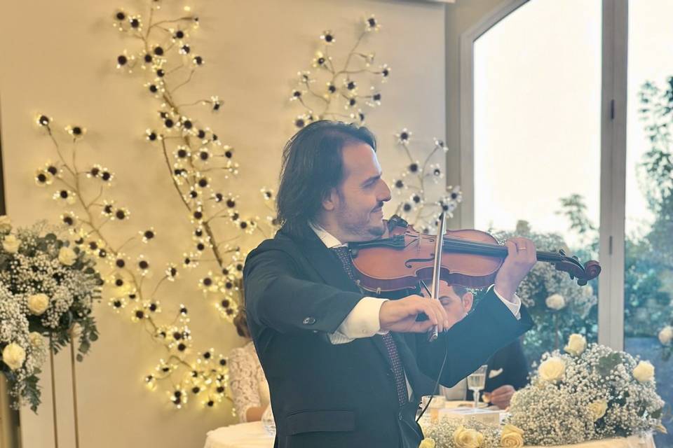 Violin