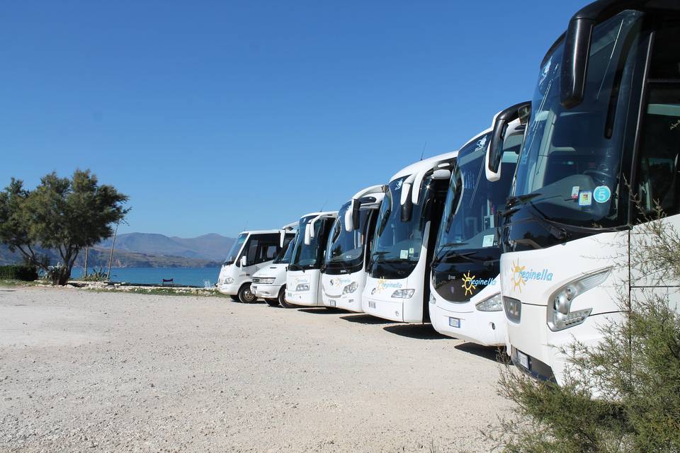 Reginella Bus