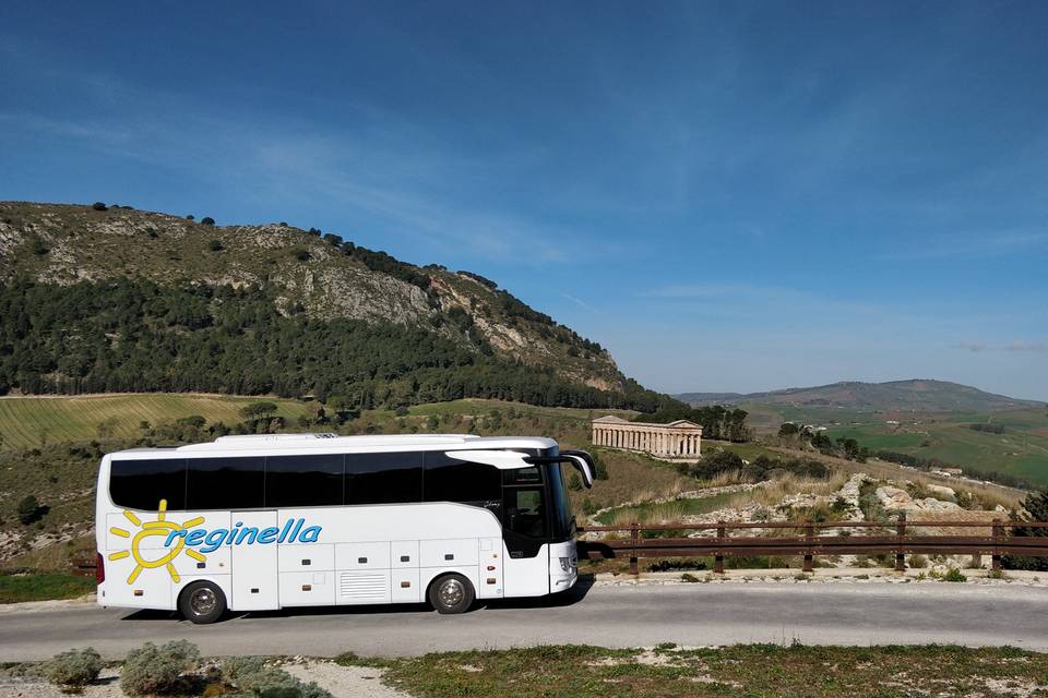 Reginella Bus