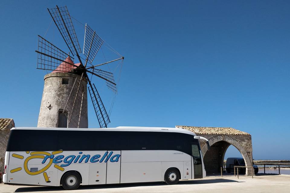 Reginella Bus