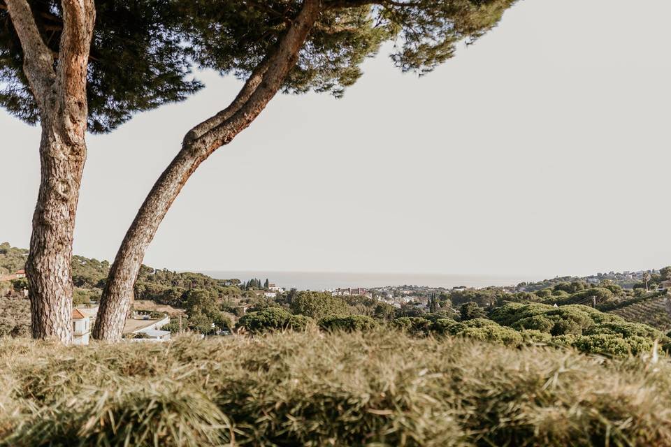 Tarannà - Wedding Photography