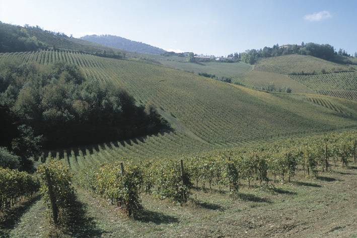 Tenuta Pegazzera