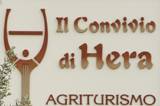Azienda Agrituristica Convivio di Hera logo