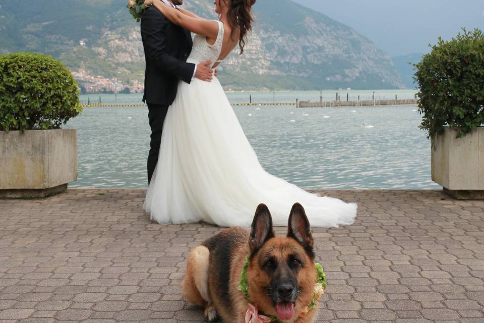 Matrimonio a 4 zampe