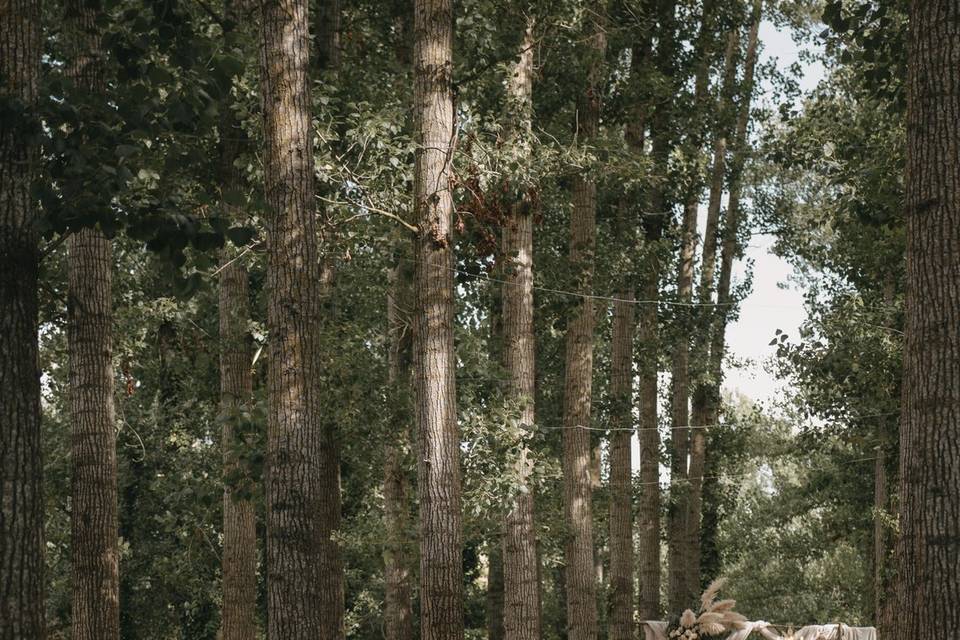 Matrimonio nel bosco