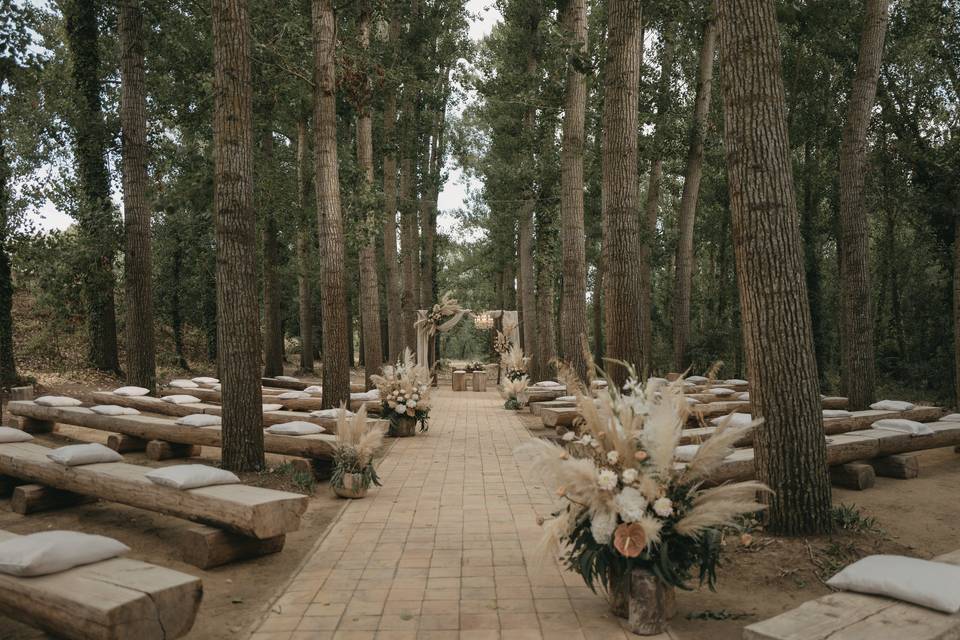 Matrimonio nel bosco