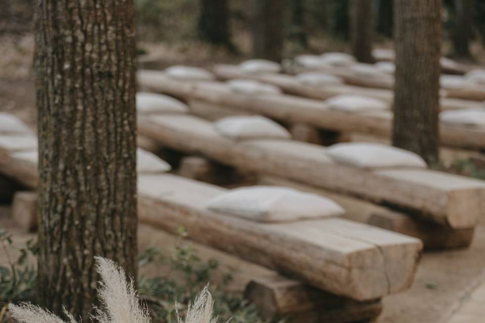 Matrimonio nel bosco