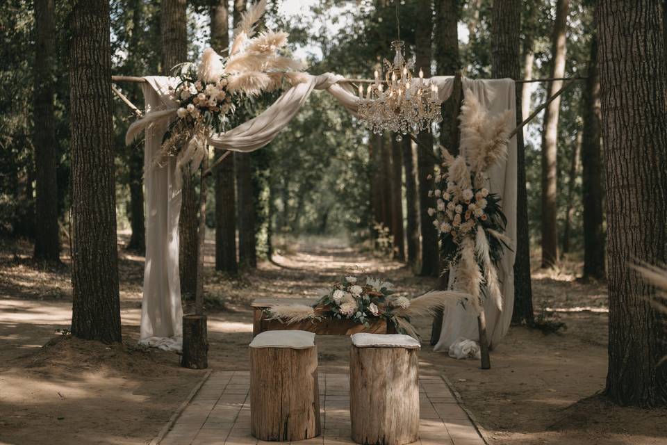 Matrimonio nel bosco