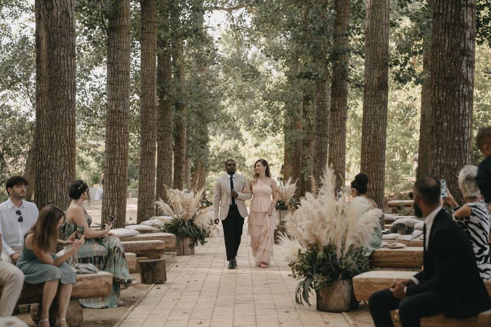 Matrimonio nel bosco