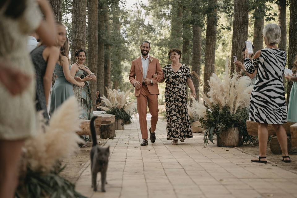 Matrimonio nel bosco