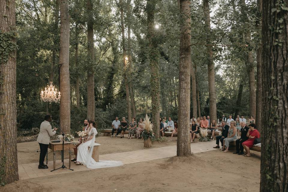 Matrimonio nel bosco