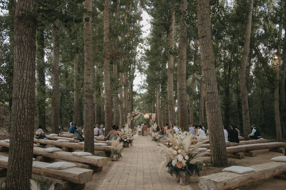 Matrimonio nel bosco